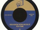 ICE CUBE You Know How We Do It 7