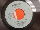 The Ascots The Wonder of It All 1966 Blue-Fin Garage Rock 45 Vinyl