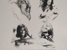 led zeppelin the complete bbc sessions on Vinyl