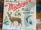 Sufjan Stevens Michigan State AKR BLUE GREEN COLOR 2LP Vinyl 2nd Pressing SEALED