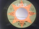 The Wild Ones,S.P.Q.R. 3316,