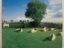 KLF Chill Out 1st US Press Vinyl LP NM KLF Communications WAX TRAX 7155 JAMSLP 5
