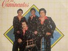 LOS CAMINANTES  / Supe Perder  / vinyl record 33 rpm
