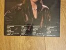 Teresa Teng 鄧麗君 15週年 2008 Hong Kong  2LP, See Description
