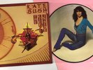 KATE BUSH The Kick Inside 1979 LTD ED UK PICTURE DISC LP **Never Played** ML 81