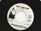 GARAGE PUNK 45 -CHOCOLATE WATCH BAND - SWEET YOUNG THING -HEAR - 1967 DJ UPTOWN