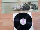 BirthControl ‎– Operation ( Ohr ‎– OMM 56.015, Germany 1971 ) Lp/Vinyl - RAR