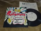 THE BEATLES-PANTOMIME -CHRISTMAS 1966 FANCLUB FLEXI RECORD & NEWS LETTER-Nm/Ex+
