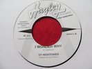SY HIGHTOWER   I WONDER WHY - HAYLEY RECORDS - DEMO