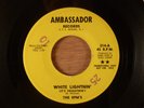 The RPM's  White Lightnin' (It's Frightnin')/Down Promo Garage 1966 Ambassador