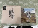 ENGLISH TEACHER WHITE VINYL LP (THIS COULD BE TEXAS) & HAND SIGNED LITHO