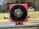 NIGHT RIDERS-PRETTY PLAID SKIRT/I'LL NEVER CHANGE/1959 ORIGINAL MINT- VINYL