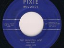 RARE JIMMY DEE & The METEORS - THE MONSTER HOP - 1962 Rockabilly Horror 45 PIXIE