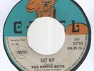 THE HIPPIE BOYS - CAT NIP / COOYAH         7