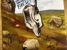 English Teacher Green Vinyl LP This Could Be Texas Fully HAND SIGNED New Mint
