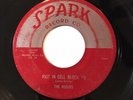 The Robins - Spark 103 - Riot In Cell Block #9 / Wrap It Up ** 1954 ** 1st Pr **