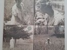 Folklore VINYL 8 SET by Taylor Swift (Vinyl, 2020, Republic Records) All Sealed.