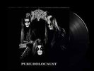 IMMORTAL - Pure Holocaust  [BLACK LP]