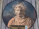 Offspring Splinter Record Store Day 2024  Picture Disc Anniversary RSD NEW