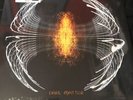 Pearl Jam Dark Matter Black Yellow Record Store Day Ltd Ed LP Rsd 2024 Next Day