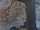 John Lennon - PLASTIC ONO BAND , vinile