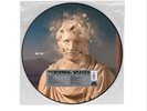The Offspring - Splinter - Picture Disc RSD Vinyl 2024
