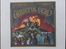 The Grateful Dead Self Titled WB Records W1689 Mono VG