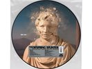 Offspring Splinter Picture Disc Lp Anniversary RSD LIMITED NEW