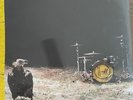 Twenty One Pilots Trench Album Limited Edition 10