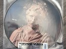 Offspring Splinter Picture Disc Lp Anniversary RSD LIMITED NEW