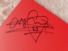 VV - Neon Noir 2LP Red Vinyl Tour Edition SIGNED by VILLE VALO HIM New unplayed