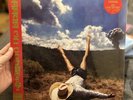 Geese - 3D Country (Vinyl) 12