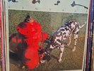 RUSH SIGNALS 1000 PIECE JIGSAW PUZZLE 2010 NEW SEALED