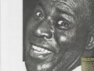 Howlin Wolf - Live in Europe Bremen, 1964 RSD 2024 New LP Vinyl Record * IN HAND