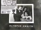 rare MALFUNKSHUN Olympus Awaits SEALED Vinyl 2xLP  RSD 2024 pre MOTHER LOVE BONE