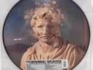 THE OFFSPRING - Splinter (RSD2024) LP picture Vinyl