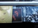ELVIS PRESLEY 6 LP BOX SET A GOLDEN CELEBRATION 50 TH ANNIVERSARY + SINGLE RCA