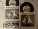 Floorpunch Division One Champs Njhc Straight Edge First Press