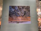 LP DIF JUZ Extractions 4AD CAD505 UK Vinyl, 1985