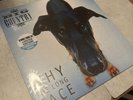 BIG COUNTRY -  Why The Long Face - LTD EDIT Turquoise VINYL LP - RSD 2024 - NEW