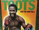 TOOTS AND THE MAYTALS KNOCK OUT  LP 1981