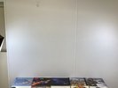 10x Vinyl Record Bundle (Dire Straits, Bruce Springsteen, Etc.) (M) S#509