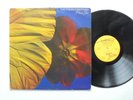 TWINKLE BROTHERS Praise Jah VIRGIN UK Rockers Roots Reggae LP HEAR