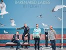 LP BARENAKED LADIES In Flight (2LPs PICTURE Vinyl, 2024) BNL NEW MINT SEALED