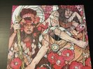 Baroness The Red Album 2x Gatefold LP.Pink And White Vinyl.Relapse 2014 RR6721-1