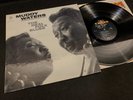 Muddy Waters 