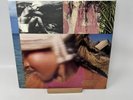 Pat Metheny Group 