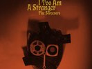 The Sorcerers |  Vinyl LP | I Too Am A Stranger | ATA Records