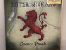Enter Shikari - Common Dreads LP 2024 Re-Press - Green and Black Nebula Vinyl -