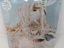 Pale Saints IN RIBBONS 30th Anniversary New Sealed Vinyl LP